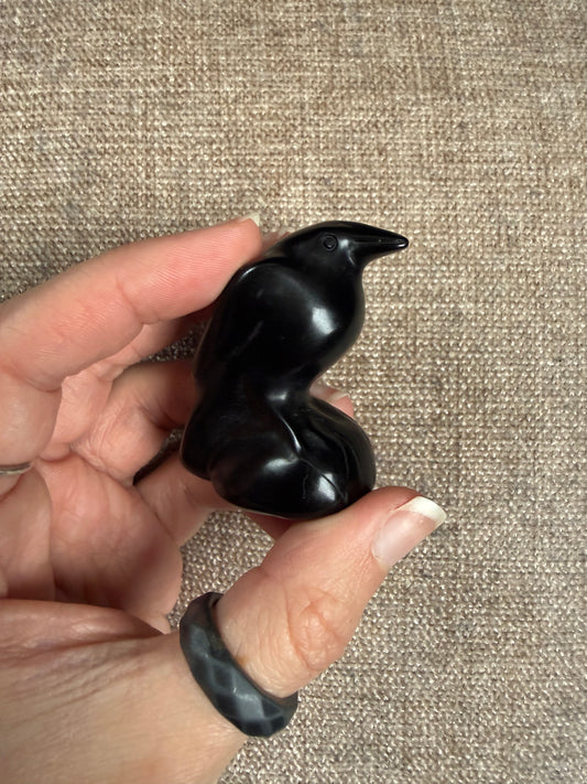 Obsidian Raven Crystal Carving 53g