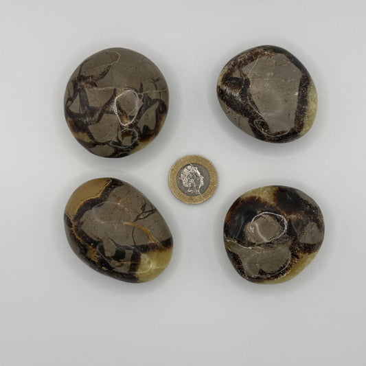 Serpentine Palm Stones - XSmall (66-91g)