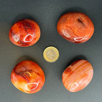 Carnelian Palm Stone - XSmall (66-84g)