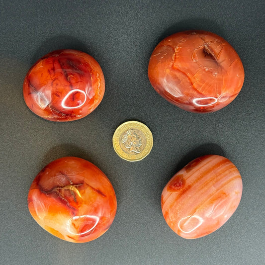 Carnelian Palm Stone - XSmall (66-84g)