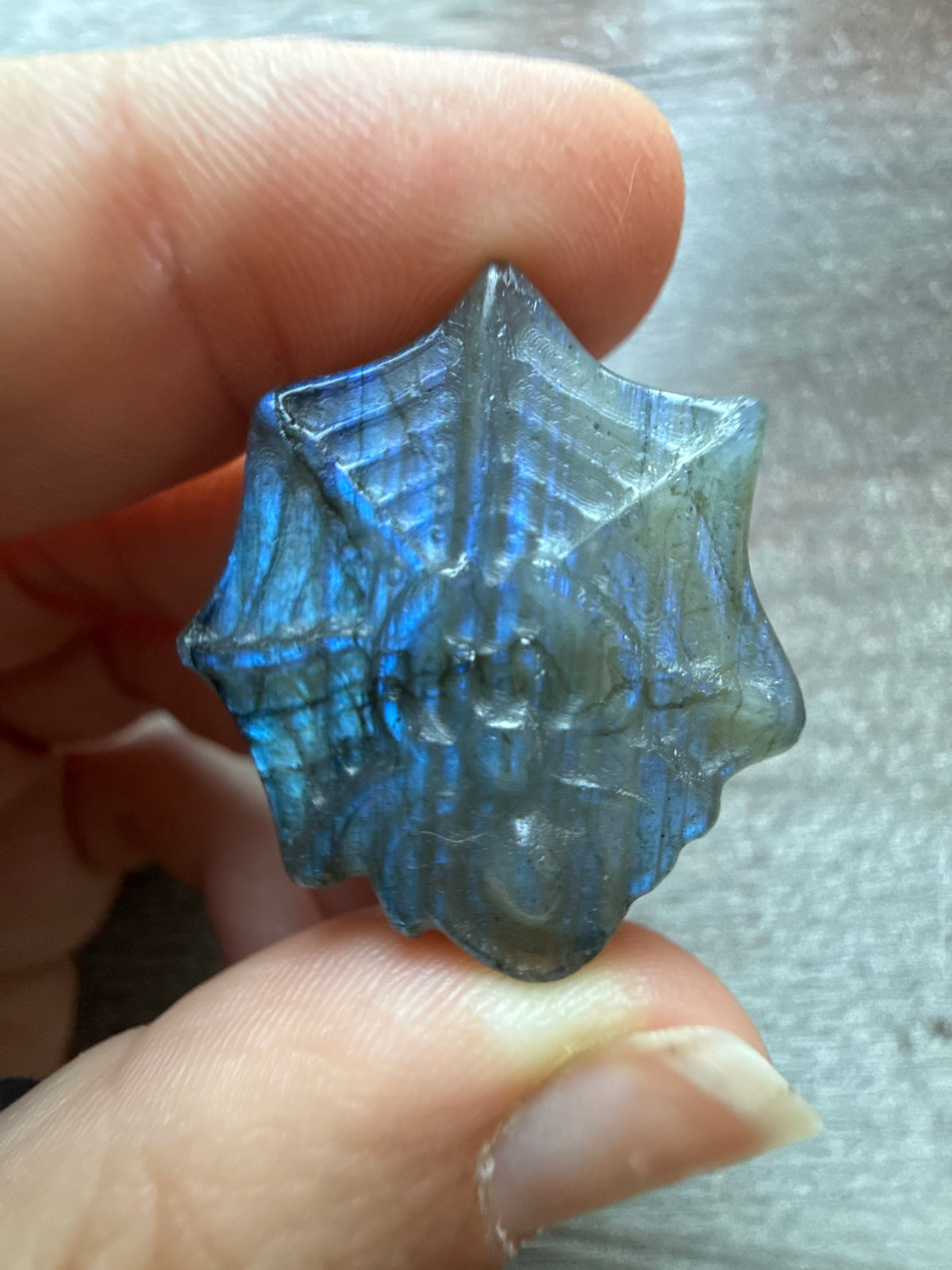 Labradorite Mini Spider in Web 13-14g
