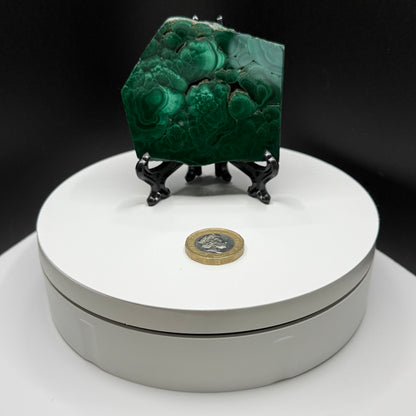 Malachite Slabs - Small (93-156g)