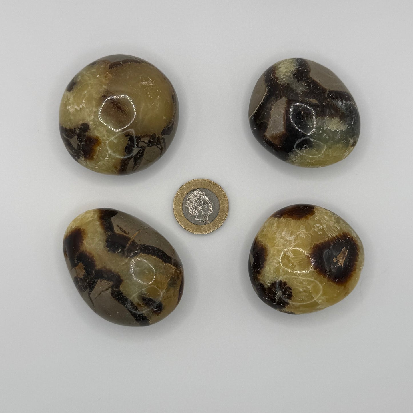 Serpentine Palm Stones - XSmall (66-91g)