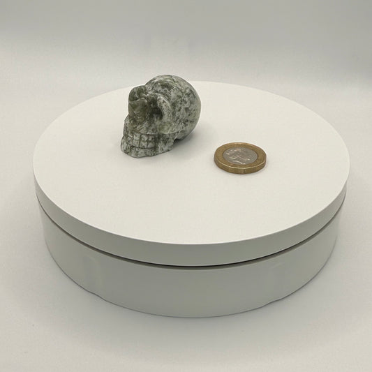 Tree Agate Skull Carving - XXSmall (47g)