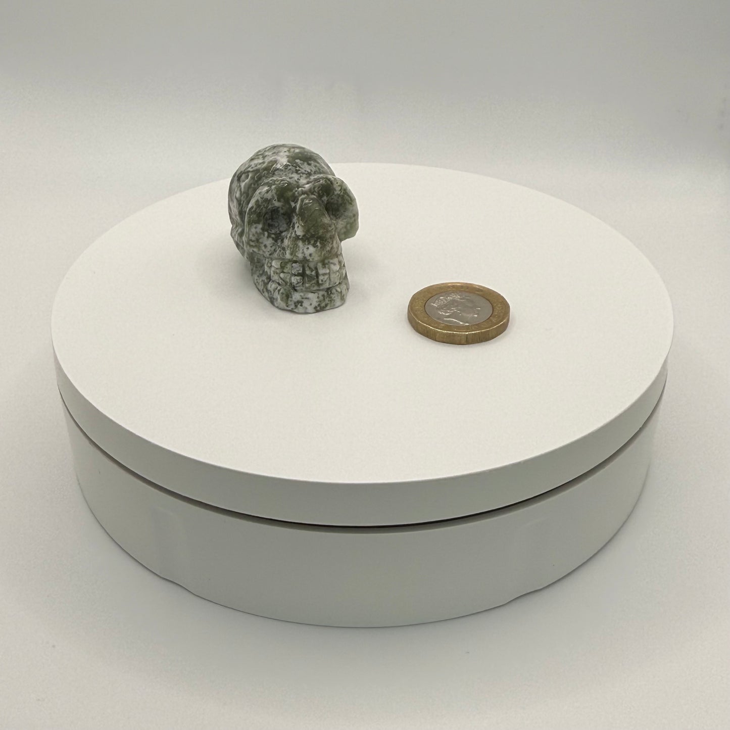 Tree Agate Skull Carving - XXSmall (47g)