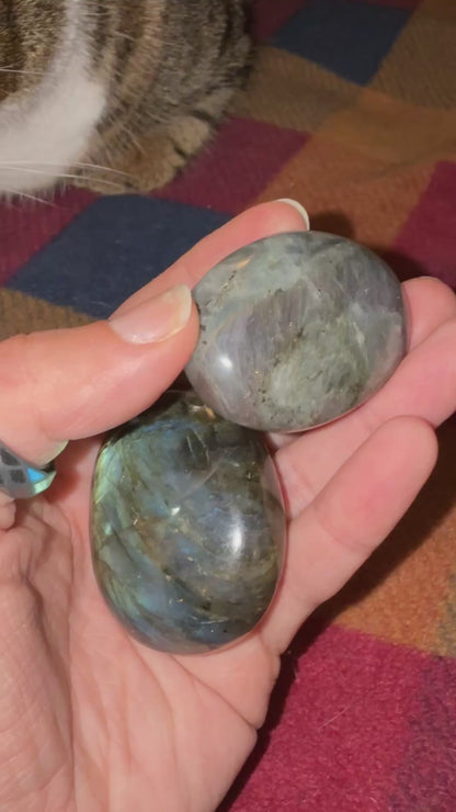Labradorite Palm Stone - XSmall 42-74g