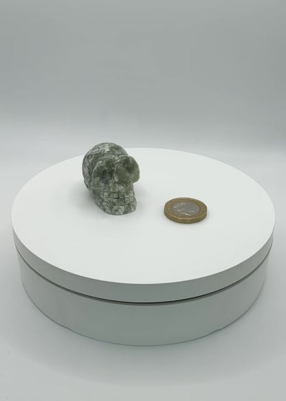 Tree Agate Skull Carving - XXSmall (47g)